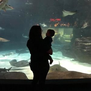 Meet your Posher, Catherine